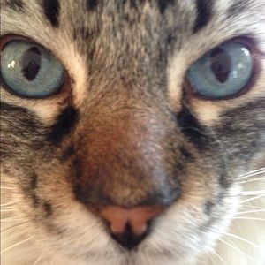 Meet your Posher, Crystal